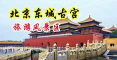 骚逼老师的骚逼视频网站中国北京-东城古宫旅游风景区